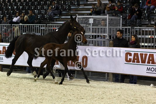 PAN CARRE_MILANO_2010_SS3_8359.jpg